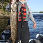 Large Northern Pike Fishing