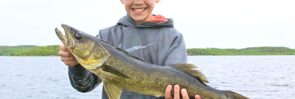 Walleye Fishing in Northwestern Ontario